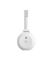 HOYMILES P1 meter